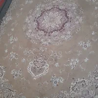 فروشی|فرش|تربتحیدریه, هاشمینژاد|دیوار