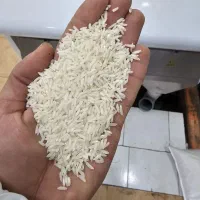 برنج گیلانی