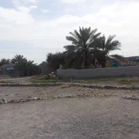 زمین تجاری مسکونی شمیل حسنلنگی|فروش زمین و ملک کلنگی|شمیل, |دیوار