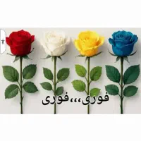 نیروی خانوم واسه رانندگی با ماشین و بدون ماشین...