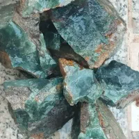 سبز خزه ای|کلکسیون و سرگرمی|تهران, شوش (باغ آذری)|دیوار