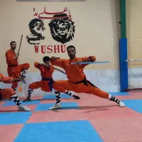 باشگاه رزمی ووشو شائولین کونگ فو|خدمات آموزشی|اصفهان, عسگریه|دیوار