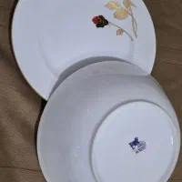 ظروف|ظروف سرو و پذیرایی|قائم‌شهر, |دیوار