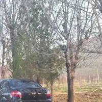 جذب خودرو دراختیاراداره دولتی