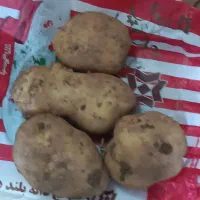 سیب‌زمینی ارگانیک