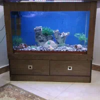 اکواریوم یک متری شیشه ۱۰ میل
