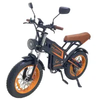 دوچرخه برقی کوگو