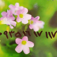 خط رند بیلبوردی