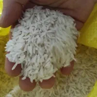 برنج هاشمی سورتینگ شده درجه یک