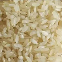 برنج کامفیروزی