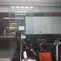 نیروی خانم مسلط به کرل و فتوشاپ