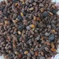 کشمش تمیز و درجه یک ،بدون هسته