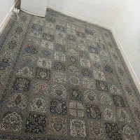 فرش|فرش|اهواز, کوی جانبازان(دانش)|دیوار