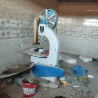 اره فلکه وگندگی در حد نوع