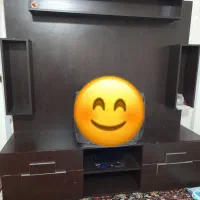 زیر تلویزیونی