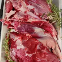 پخش گوشت شترمرغ