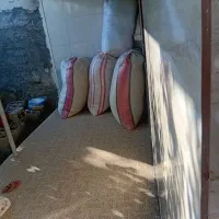 فروش حدود 1 تن جو دیم