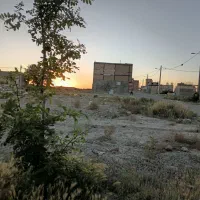 فروش-زمین
