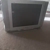 تلویزیون