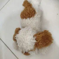 تعدادی عروسک در حد نو|اسباب‌بازی بچه|شاهین‌شهر, خانه کارگر|دیوار