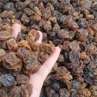 آلوچه آفتابی بسیار گوشتی