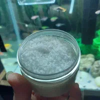 ماهی ضد عفونی کننده اش نمک اکواریوم