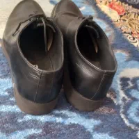 کفش|کیف، کفش، کمربند|مشهد, میان ولایت|دیوار