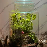 تراریوم تزیینی شیک تک به قیمت عمده