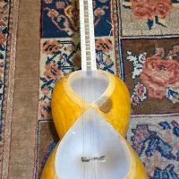 تار چهار گل|سازهای سنتی|تهران, فلسطین (میدان انقلاب)|دیوار