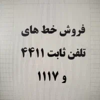 خط رند تلفن ثابت مناسب رستوران ها و آژانس‌ها