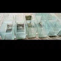 آکواریوم ۶ میل|ماهی|نیشابور, شهرک بهداری|دیوار