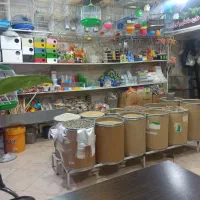 شاگرد مغازه پرنده فروشی با جای خواب