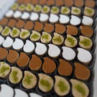 باسلوق باقلواشیرینی راحتی راحت الحلقوم لوکوم شکلات|خوردنی و آشامیدنی|تهران, هاشمی|دیوار