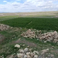 زمین مسکونی و باغ ویلا