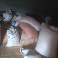 کاه|لوازم جانبی حیوانات|بیرانوند, |دیوار