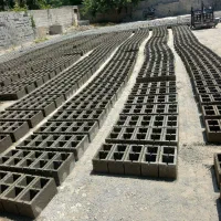بلوک زنی عزتی