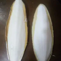 کف دریا|لوازم جانبی حیوانات|تهران, مولوی|دیوار