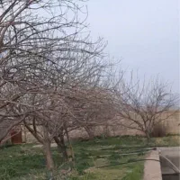 مترباغ برای فروش ۲۹۸۰۰|فروش زمین و ملک کلنگی|تویسرکان, |دیوار