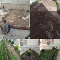 خدمات تخصصی باغبانی در محل شما