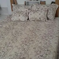 روتختی 2رونونوزیرقیمت