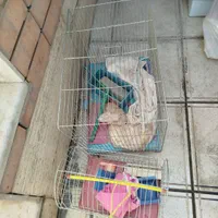 قفس پرنده