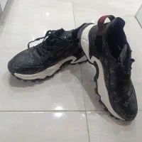 کتانی شیک|کیف، کفش، کمربند|اقبالیه, |دیوار