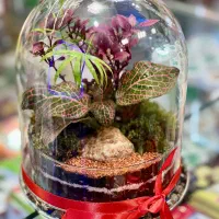 تراریومهای خاص|صنایع دستی و سایر لوازم تزئینی|مشهد, امیریه|دیوار