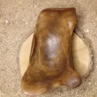 انواع روستیک دفورمه چوب گردو|ظروف سرو و پذیرایی|کرج, اتحاد|دیوار