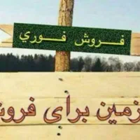 زمین ۱۵۵متری فروشی