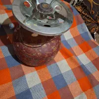 پیک نیک