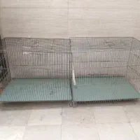 قفس و گنجه و جفت کن|لوازم جانبی حیوانات|قم, قلعه کامکار|دیوار