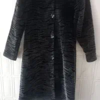 پالتو درحد نو