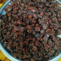 آلوچه های امسالی