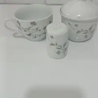 فروش چینی مرجان